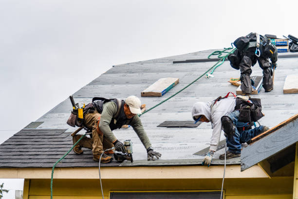 Professional Roofing technician working in Bergen, NY